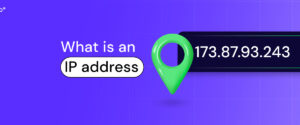 IP Address